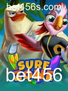 Descubra o Mundo Empolgante do Jogo 'SurfZone' com bet456